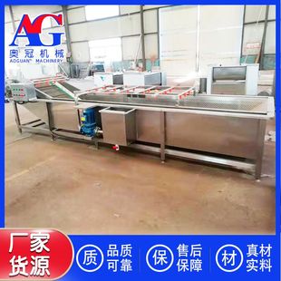 夜香花加工流水线 人参果清洗机 珠芽蓼清洗设备 银耳清洗加工线