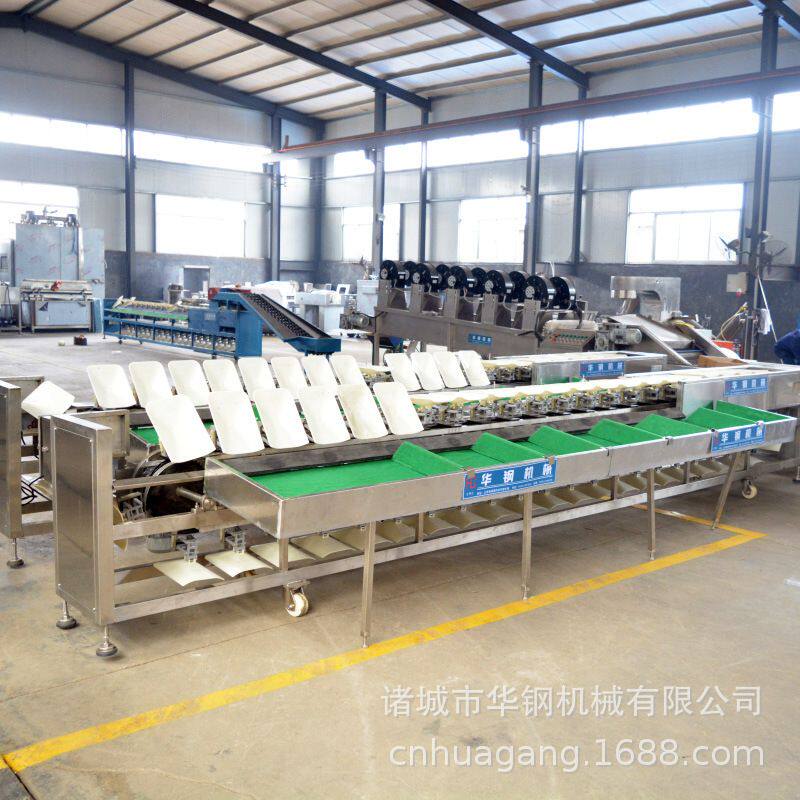 直供火龙果深加工设备 自动化称重分级机 不锈钢材质