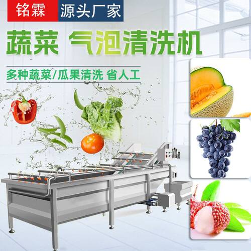 哈密瓜葡萄清洗机 不锈钢果蔬清洗机 荔枝气泡清洗机 厂家供应