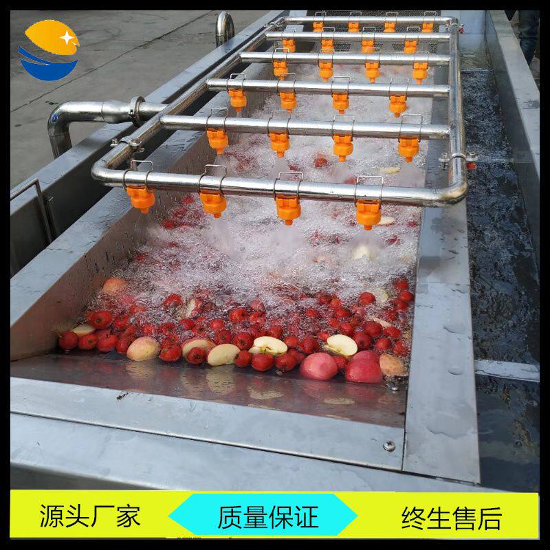 厂家生产大型全自动洗水果机器 冲浪式水果清洗机 水果清洗机