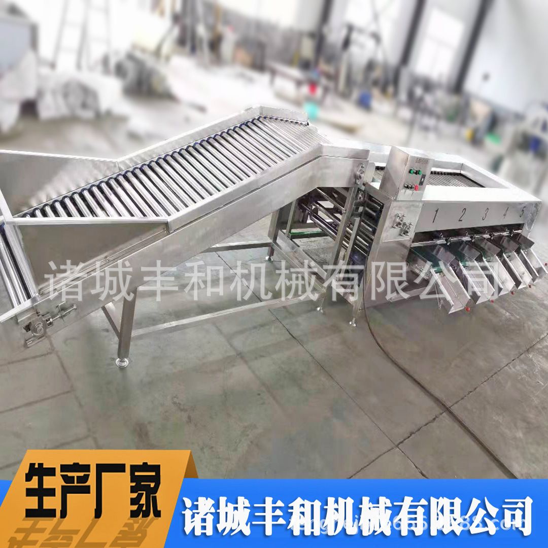 水果大小挑选设备 马蹄分级机 山竹分级机 土豆分级机 天麻分级机