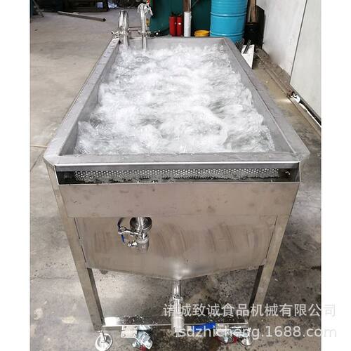 叶类蔬菜清洗机水果加工厂清洗机高压气泡清洗机