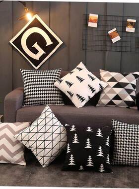 Throw pillow sofa back cushion cover velvet Pillow case枕头