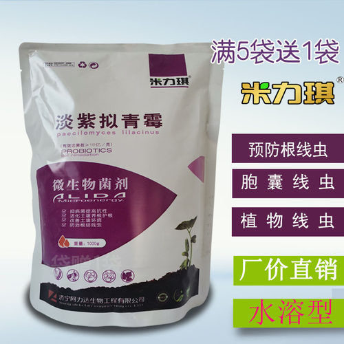 米力琪淡紫拟请霉菌防根结线虫颈线虫生防菌灌根微生物菌剂紫孢菌