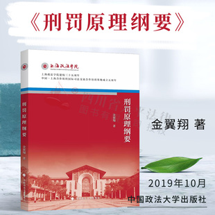 正版 刑罚原理纲要 金翼翔 中国政法大学出版社 9787562092704