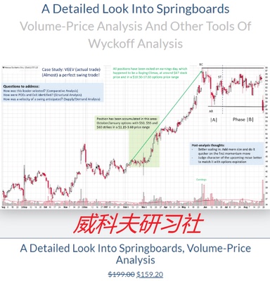 Wyckoff analytics-详细了解跳板 量价分析和威科夫分析其他工具