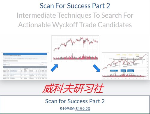 Wyckoff analytics-Scan For Success Part 2 （选股课中英字幕）