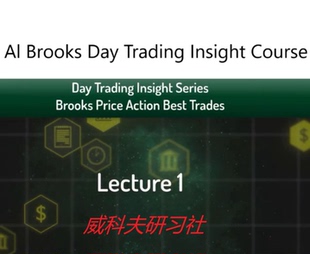 Brooks action Course中英字幕 Trading Insights Day price