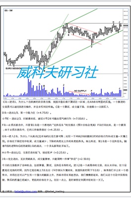 wyckoff-feibel 全部文档341页面 中文翻译