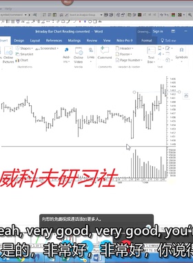Wyckoff David Weis : 大卫·维斯一对一指导12集人工翻译