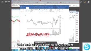 Wyckoff David Weis : 大卫·维斯一对一指导12集人工翻译