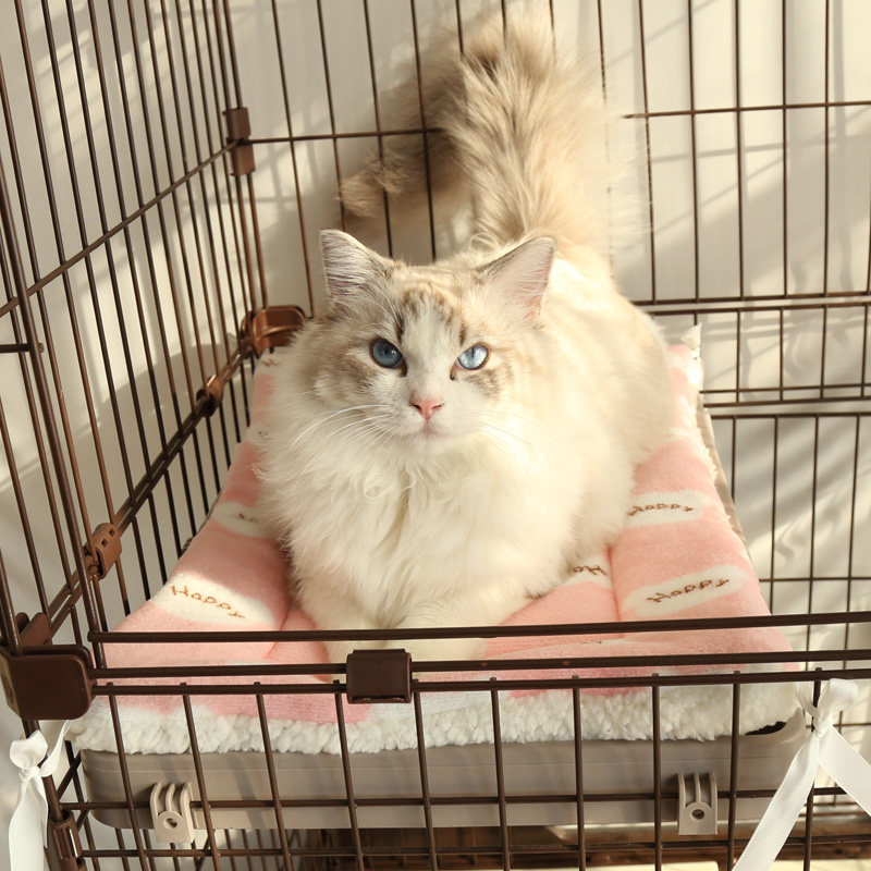 宠物睡垫猫咪睡觉用猫笼平台垫固定小毛毯子猫垫子冬季保暖棉垫软,宠物/宠物食品及用品,猫狗垫子,淘宝优惠券,粉丝福利购,淘宝优惠卷