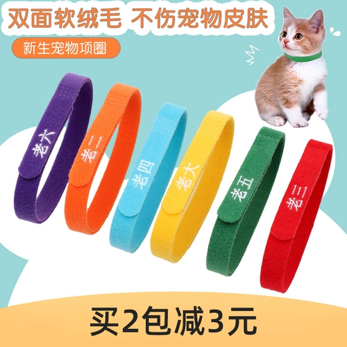 Кольцо для распознавания домашних животных Кольцо. Отмещение рода принесение кошки, маркирующего новорожденного котенка котенка, чтобы идентифицировать молочные кошки и круги горки собак