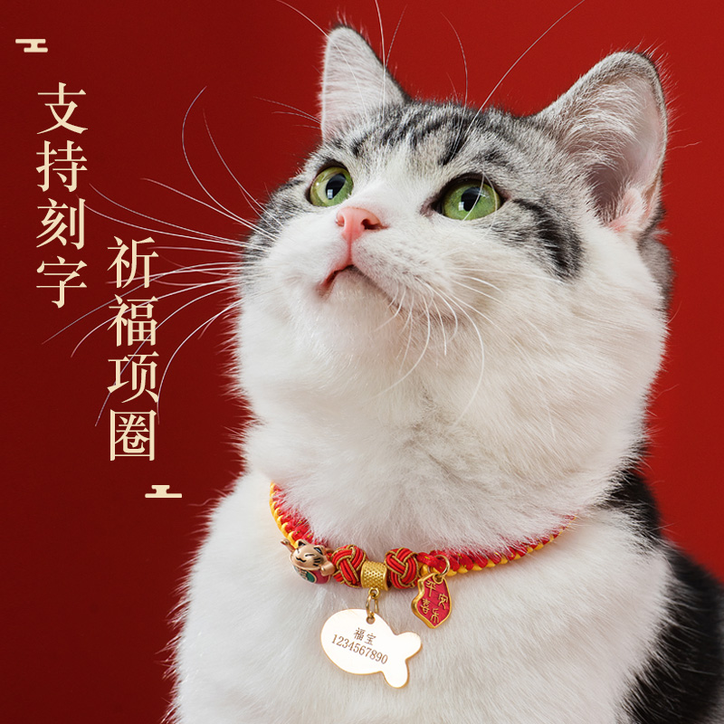 猫咪项圈围脖项链猫牌刻字防丢失铃铛狗狗颈圈装饰品中小型犬脖圈