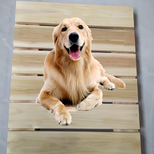 实木宠物床矮床狗床木板防潮透气猫床榻榻米排骨架硬木板简约定制