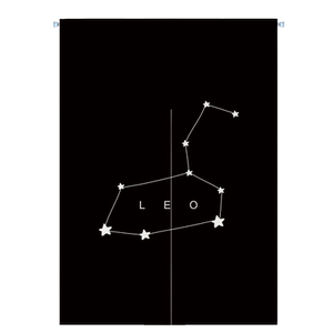 十二星座ins风宿舍隔断帘定制