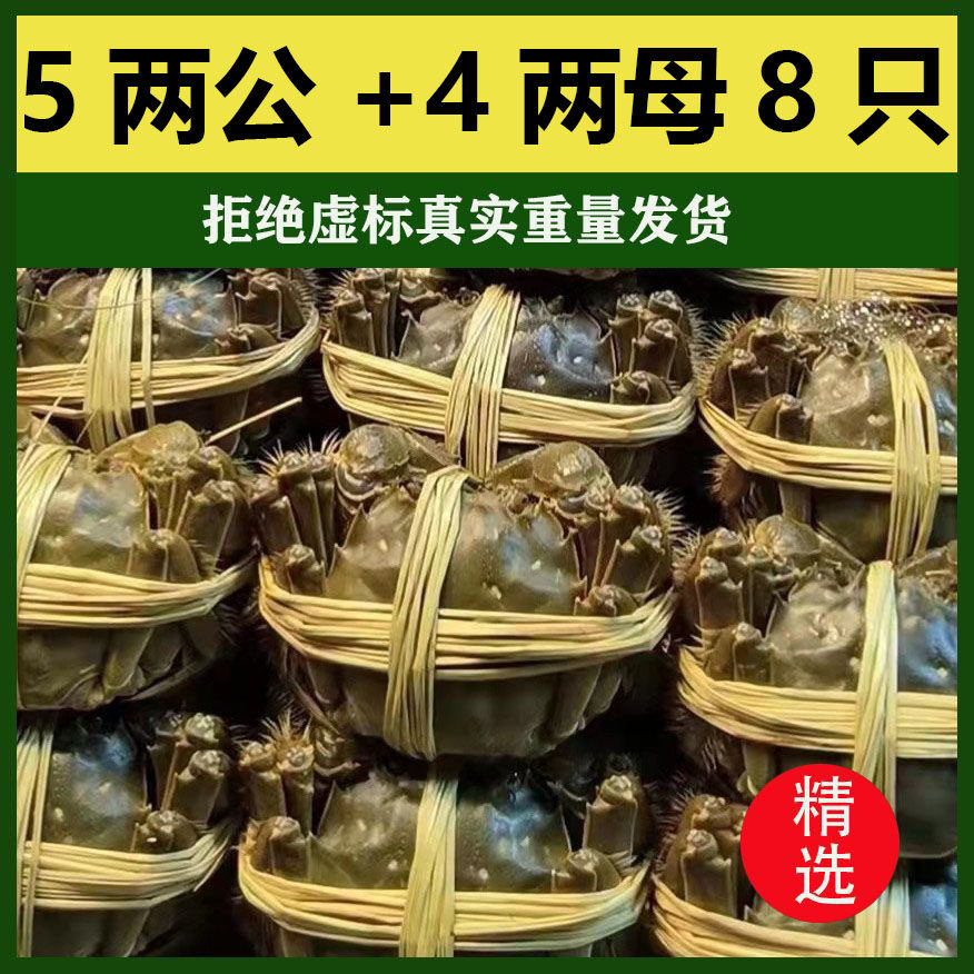 【愫水】活蟹江苏鲜活清水大闸蟹公5两公4两母蟹大螃蟹6-10只装