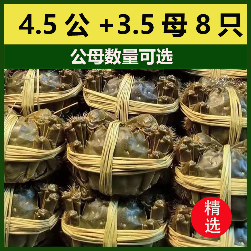 活螃蟹公4.5两母3.5两8只