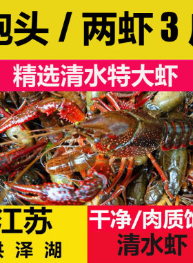 愫水洪泽湖小龙虾两虾炮头3斤