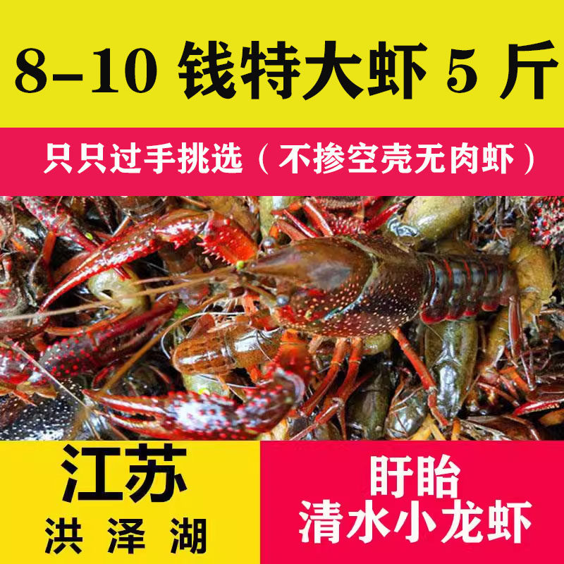 江苏盱眙小龙虾8-10钱特大虾5斤