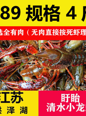 鲜活盱眙小龙虾789钱特大虾4斤