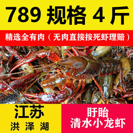 现货江苏清水养殖盱眙小龙虾鲜活789钱特大虾4斤活虾龙虾海鲜顺丰