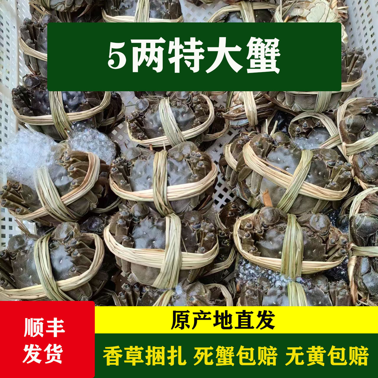 【活蟹】愫水江苏大闸蟹鲜活特大5两公蟹4两母蟹超大螃蟹礼盒装