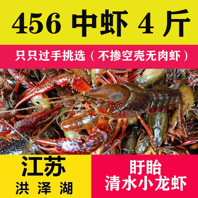 江苏清水小龙虾鲜活456中虾4斤