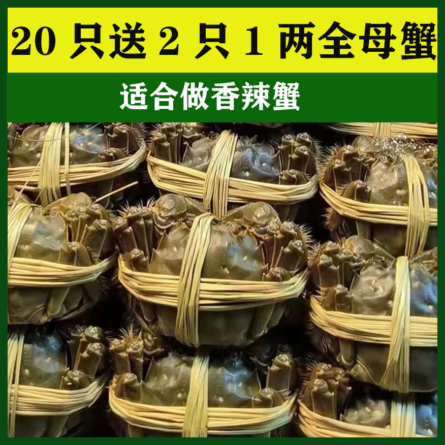 愫水洪泽湖大闸蟹1两母20只