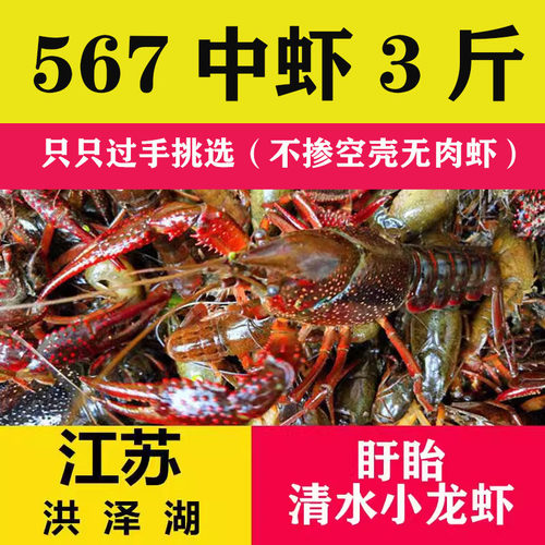 盱眙小龙虾鲜活567钱3斤清水虾