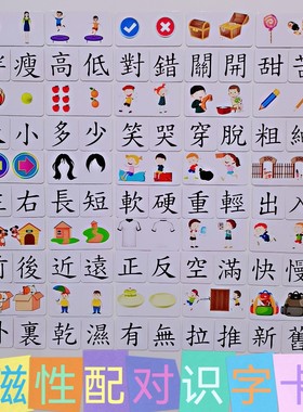 磁性识字卡磁吸配对卡幼儿认知