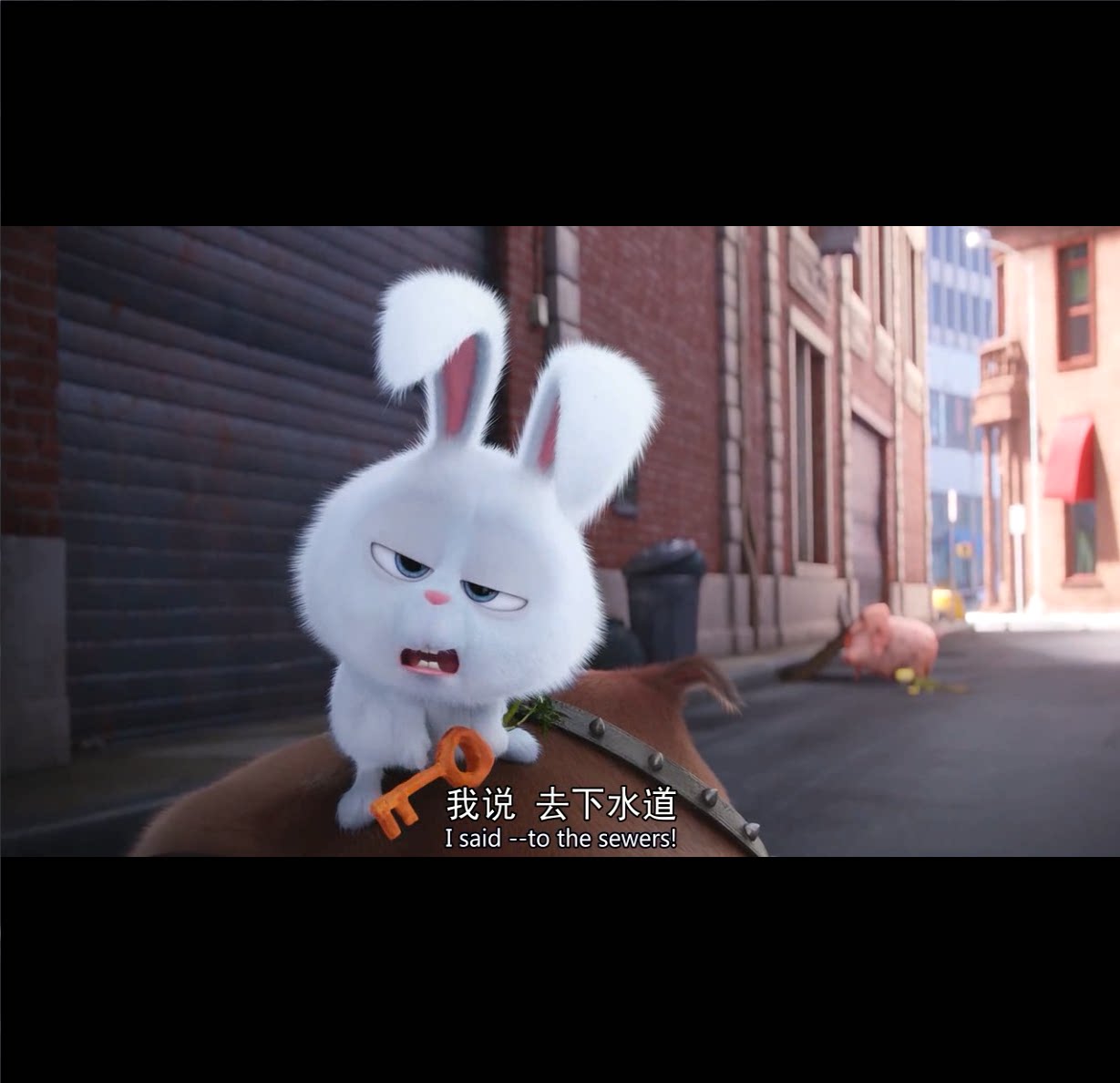 爱宠大机密电影片段消音配音比赛英语课堂素材动画去人声留背景音