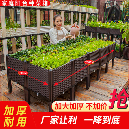 塑料种植箱家庭阳台种菜专用箱