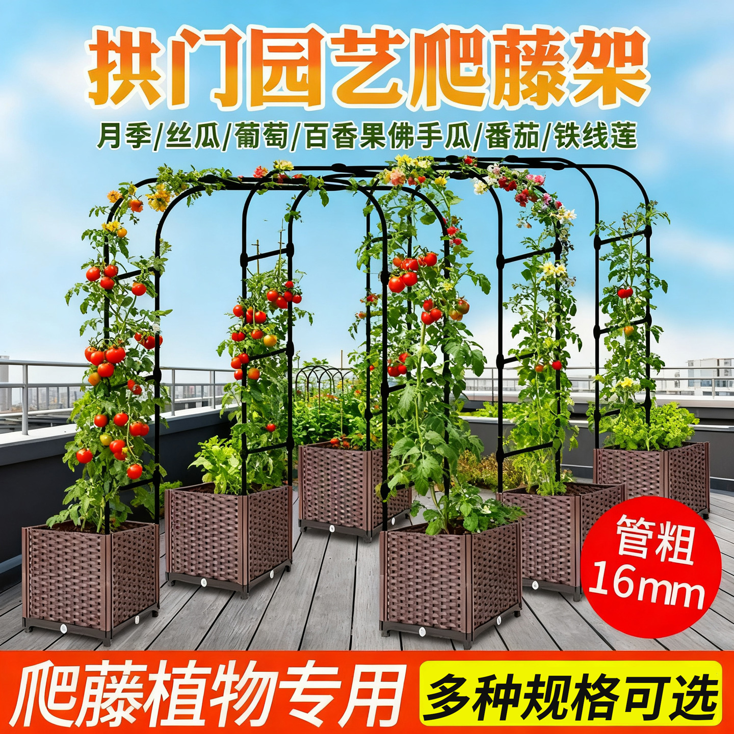 拱门花架爬藤架庭院月季蔷薇花爬藤支架铁艺植物架户外花门葡萄架
