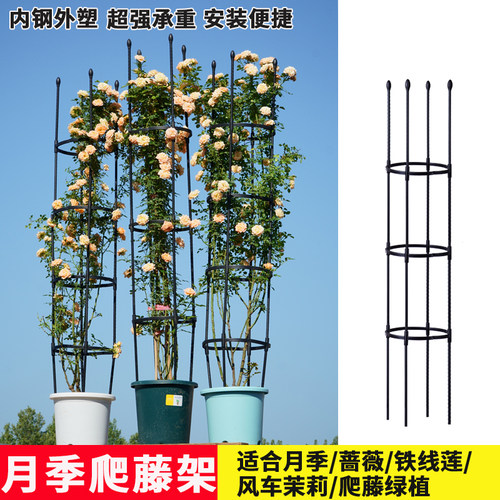 月季爬藤架铁线莲圆形支架黄瓜架