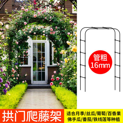 菜园兄弟拱形花架爬藤架