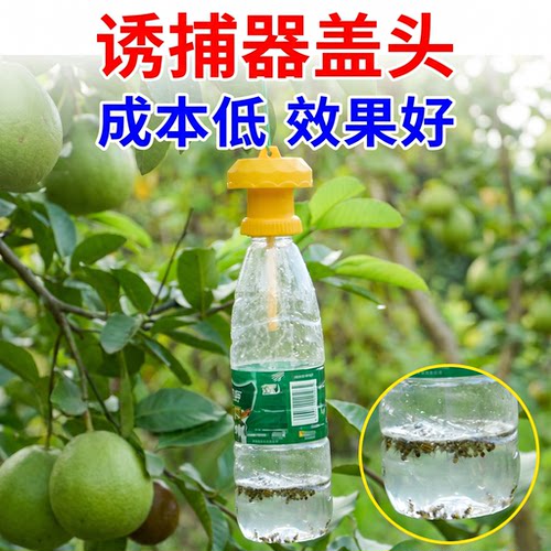 果实蝇针蜂专用诱引捕器菜园果园专用诱蜂香精信息素实用高效