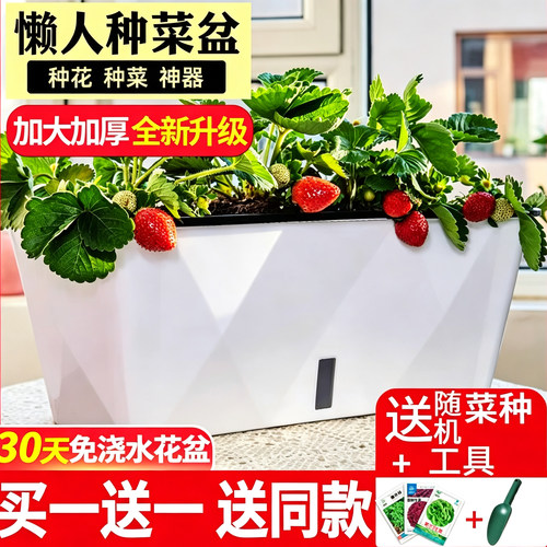 阳台种菜花盆懒人种植草莓专用盆