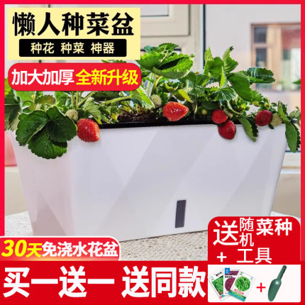 懒人花盆自吸水免浇水培阳台种菜盆长方形草莓专用盆塑料种植箱大