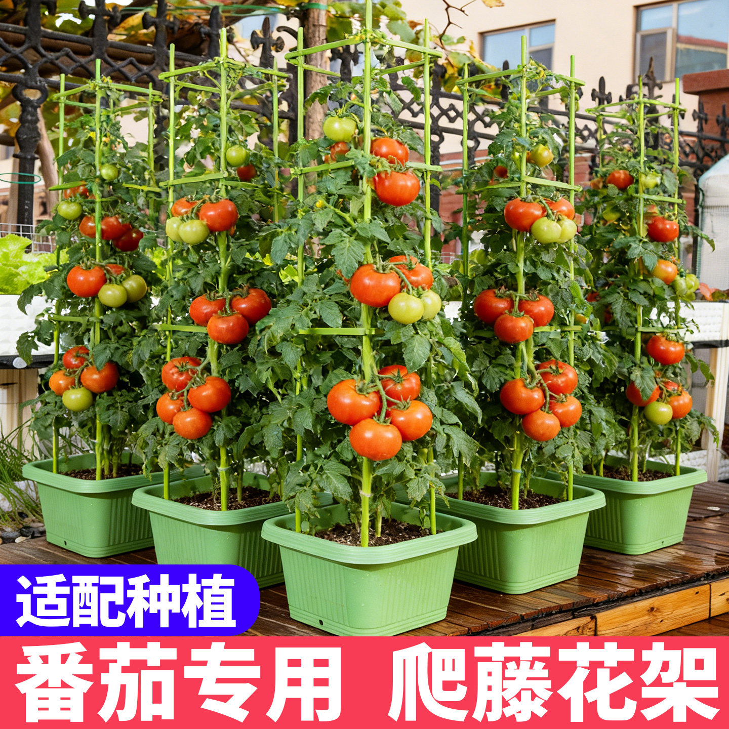 爬藤架植物西红柿黄瓜爬藤支架庭院月季花架包塑钢管爬藤架子支架