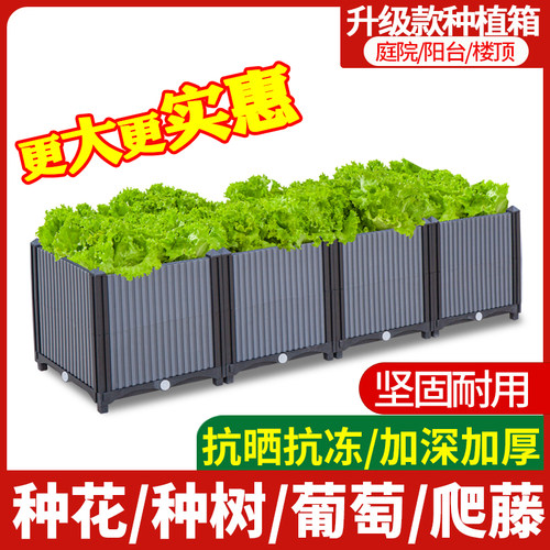 阳台种菜专用箱室外花箱塑料加厚