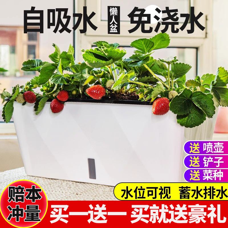 懒人自吸水花盆阳台种菜盆长条盆