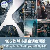工业风城市黑金街拍夜景人像PR FCPX达芬奇AE调色PS滤镜LUT预设LR