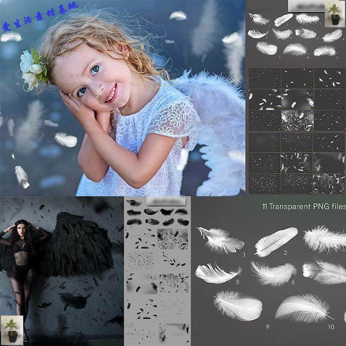 梦幻唯美黑白羽毛png免抠图片艺术照装饰效果素材58张png