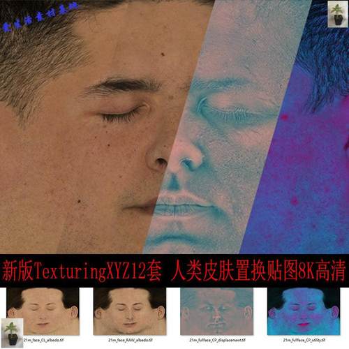 新版TexturingXYZ12套 Multi-channel人类皮肤xyz贴图8K高清