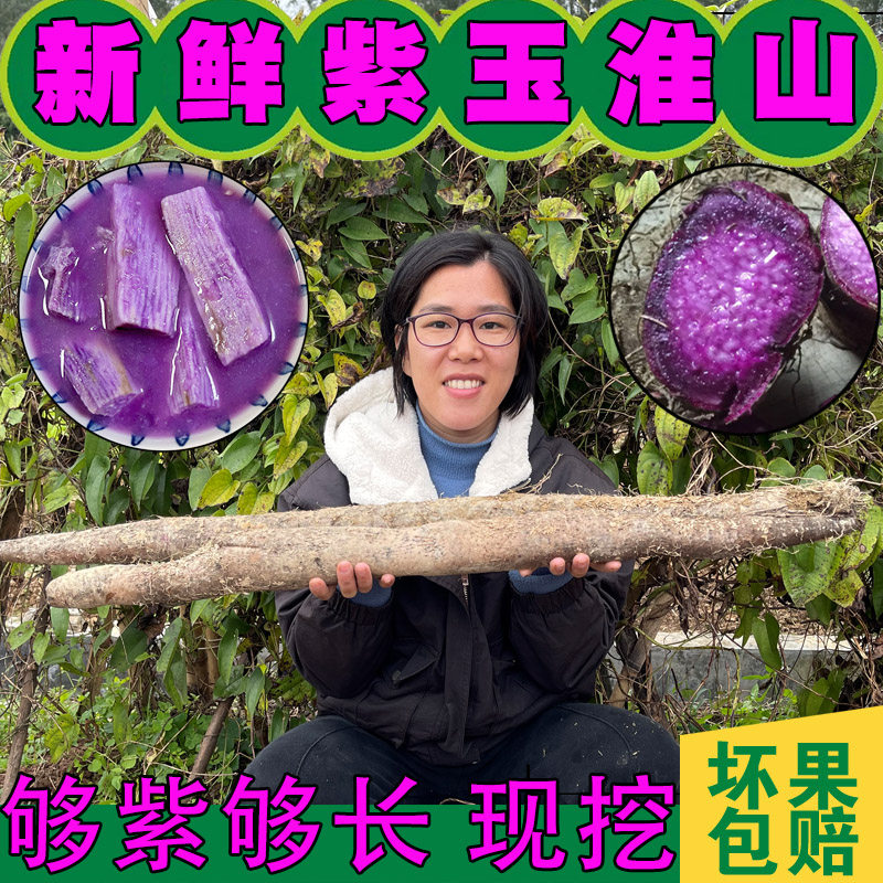 增城紫玉淮山 农家紫色山药新鲜 铁棍淮山 红龙淮山紫人参5斤包邮