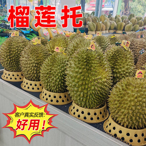 榴莲固定器水果塑料圆形底托