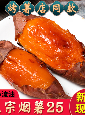 山东蜜薯烟薯25号农科院糖心地瓜红薯新鲜9斤农家番薯沙地烤山芋