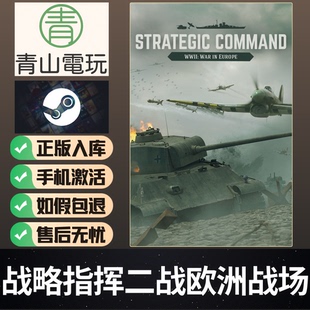 Steam正版 战略指挥欧洲战场 Strategic War in Europe 激活码CDK