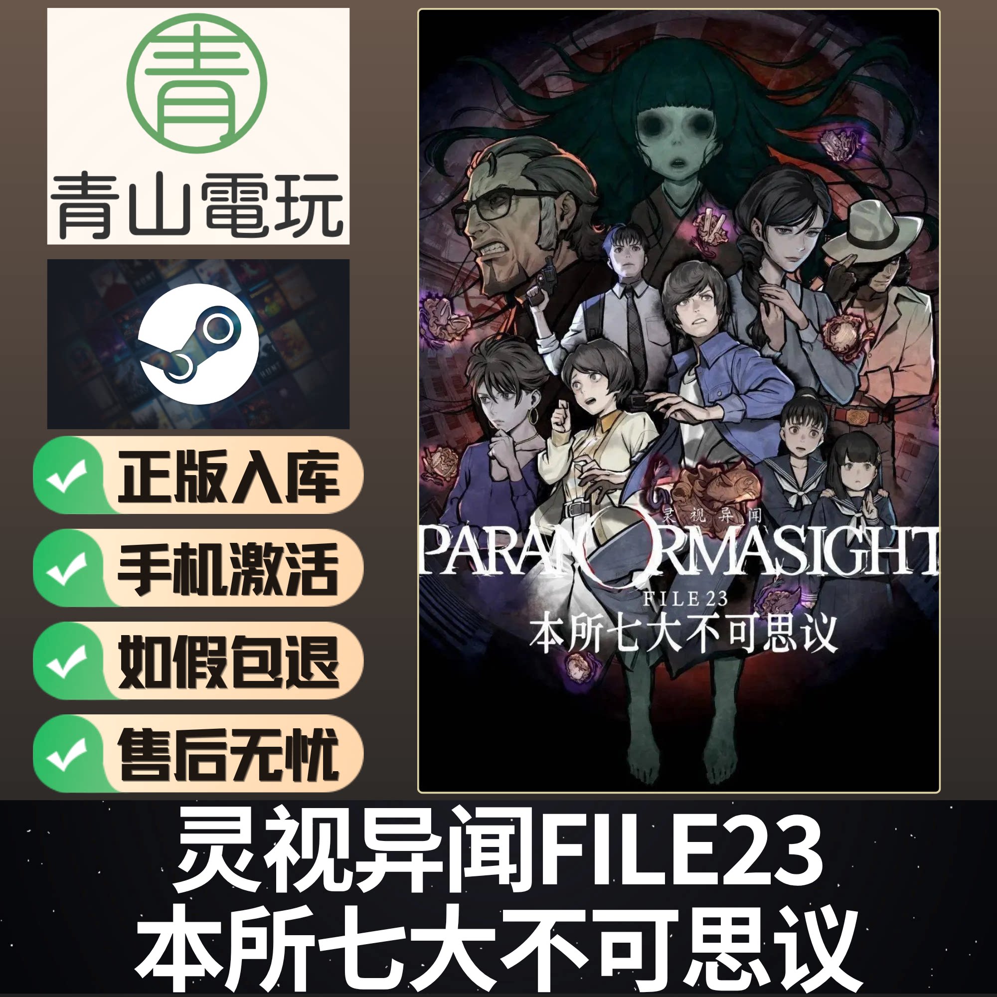 Steam正版 灵视异闻 FILE23 本所七大不可思议 中文 激活码 CDKEY